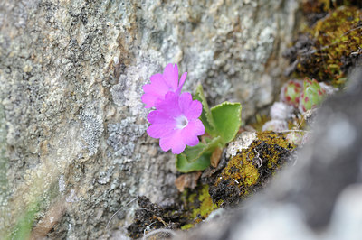 BUITEN BEELD Foto: 125853