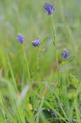 BUITEN BEELD Foto: 125864