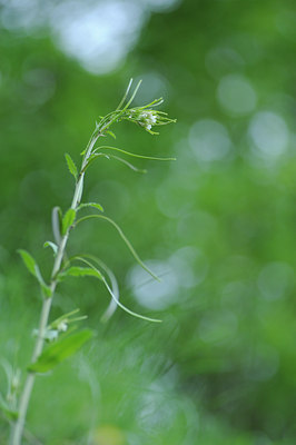 BUITEN BEELD Foto: 125866