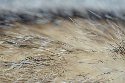 BUITEN BEELD Foto: 125875