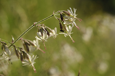 BUITEN BEELD Foto: 125899