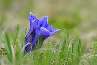 BUITEN BEELD Foto: 125916