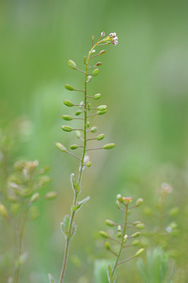 BUITEN BEELD Foto: 125955