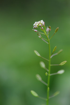 BUITEN BEELD Foto: 125971