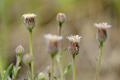 BUITEN BEELD Foto: 125981