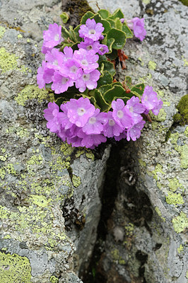 BUITEN BEELD Foto: 125982