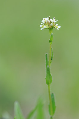 BUITEN BEELD Foto: 125999