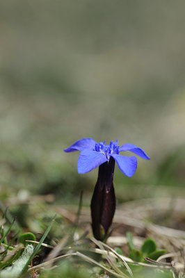 BUITEN BEELD Foto: 126045