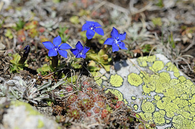 BUITEN BEELD Foto: 126077