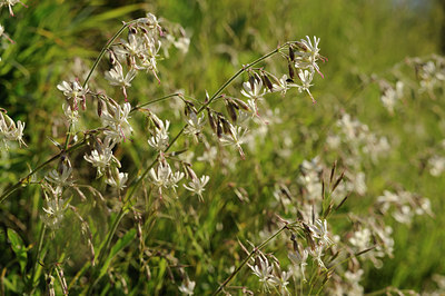 BUITEN BEELD Foto: 126095