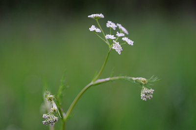 BUITEN BEELD Foto: 126121
