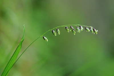 BUITEN BEELD Foto: 126138