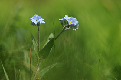 BUITEN BEELD Foto: 126167