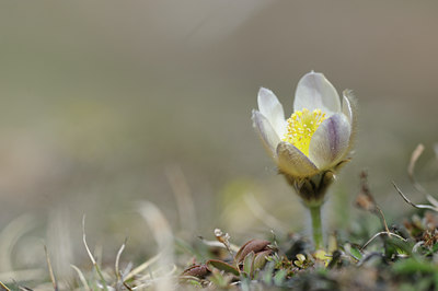 BUITEN BEELD Foto: 126175