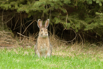 BUITEN BEELD Foto: 126223