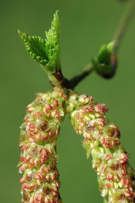 BUITEN BEELD Foto: 126289