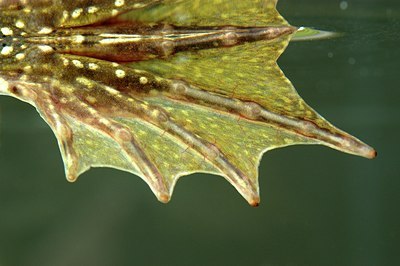 BUITEN BEELD Foto: 126351