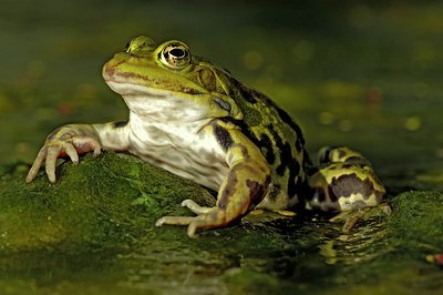 BUITEN BEELD Foto: 126355