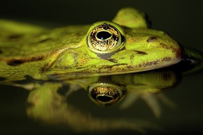 BUITEN BEELD Foto: 126356