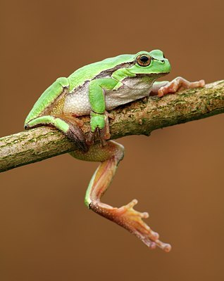 BUITEN BEELD Foto: 126372