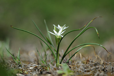 BUITEN BEELD Foto: 126398