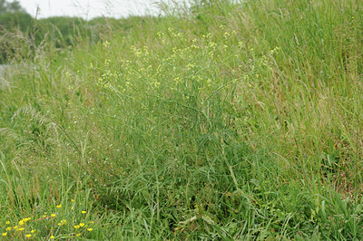 BUITEN BEELD Foto: 126420