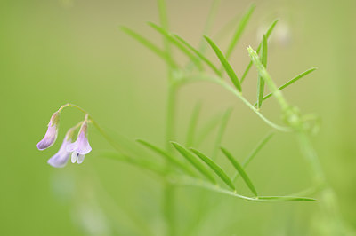 BUITEN BEELD Foto: 126432