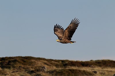 BUITEN BEELD Foto: 126446
