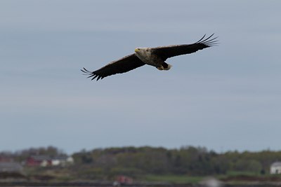 BUITEN BEELD Foto: 126473