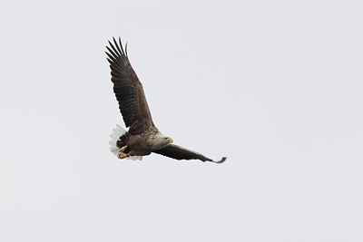BUITEN BEELD Foto: 126483
