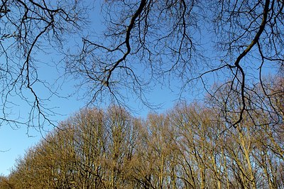 BUITEN BEELD Foto: 126527