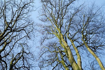 BUITEN BEELD Foto: 126533