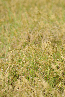 BUITEN BEELD Foto: 126555