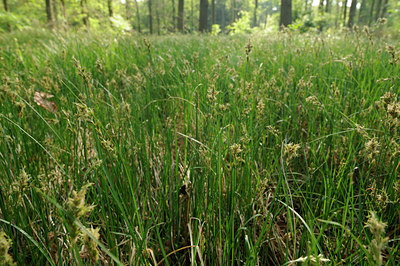 BUITEN BEELD Foto: 126560