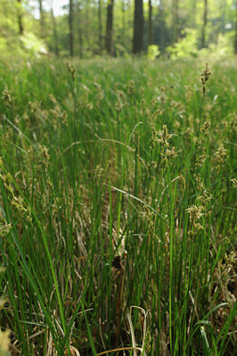 BUITEN BEELD Foto: 126564