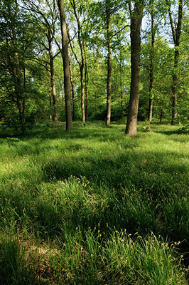 BUITEN BEELD Foto: 126570