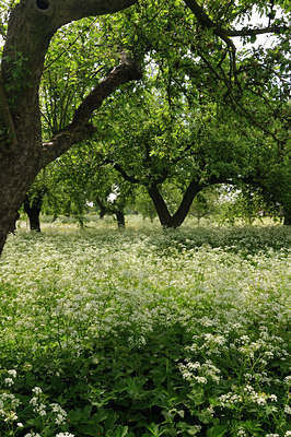 BUITEN BEELD Foto: 126582