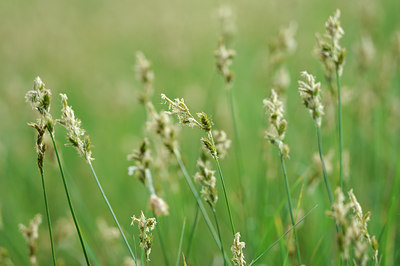 BUITEN BEELD Foto: 126590