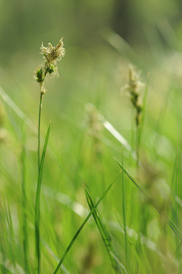 BUITEN BEELD Foto: 126591