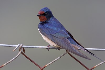 BUITEN BEELD Foto: 126684