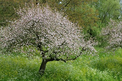 BUITEN BEELD Foto: 126705