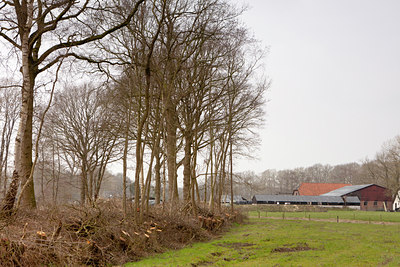BUITEN BEELD Foto: 126766