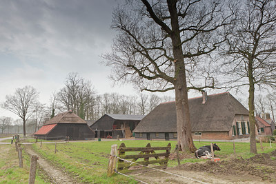 BUITEN BEELD Foto: 126768