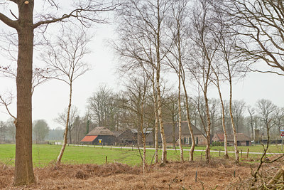 BUITEN BEELD Foto: 126775