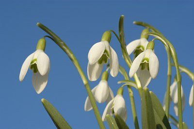 BUITEN BEELD Foto: 126779
