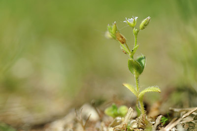 BUITEN BEELD Foto: 126790