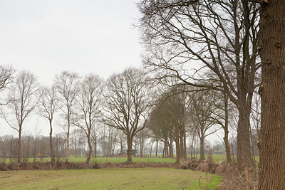 BUITEN BEELD Foto: 126795