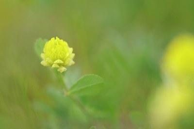 BUITEN BEELD Foto: 126806
