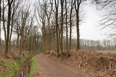 BUITEN BEELD Foto: 126808