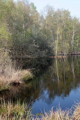 BUITEN BEELD Foto: 126833
